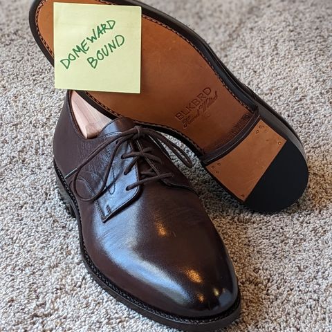 BLKBRD Xavier Plain Vamp Derby in Unknown Leather