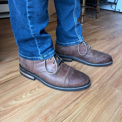 Thursday Captain in Terracotta Full Grain