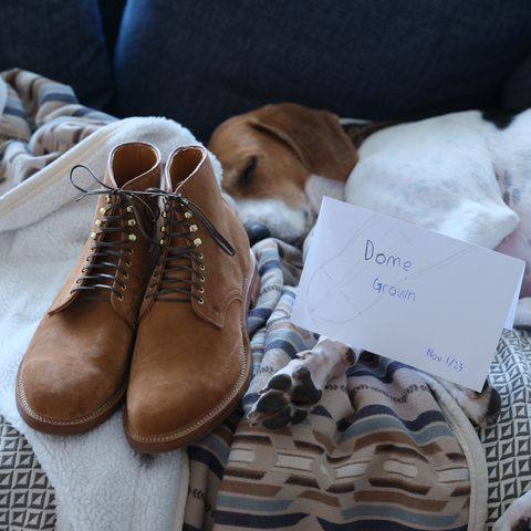 View photo of Viberg Derby Boot in C.F. Stead Anise Calf Suede