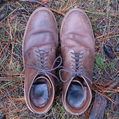 Search result thumbnail of Viberg Wholecut Derby Boot in Maryam 1071 Horsebutt