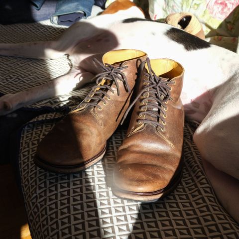 Viberg Wholecut Derby Boot