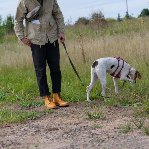 Viberg Officer Boot in Shinki Camel Latigo Horsehide