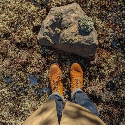 Viberg Officer Boot in Shinki Camel Latigo Horsehide