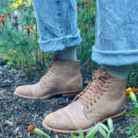 Viberg Service Boot BCT in Maryam 1060 Revescio Sego Horsebutt