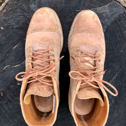 View photo of Viberg Service Boot BCT in Maryam 1060 Revescio Sego Horsebutt