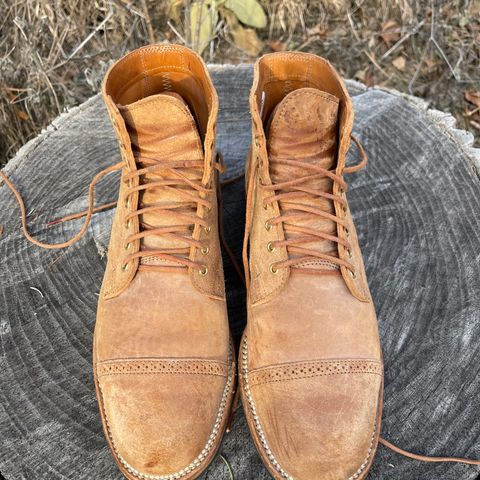 View photo of Viberg Service Boot BCT in Maryam 1060 Revescio Sego Horsebutt