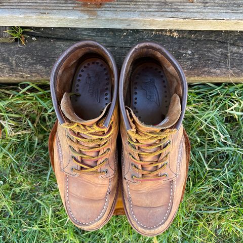 View photo of Red Wing 6-Inch Classic Moc in S.B. Foot Copper Rough and Tough