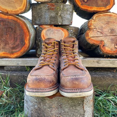 View photo of Red Wing 6-Inch Classic Moc in S.B. Foot Copper Rough and Tough