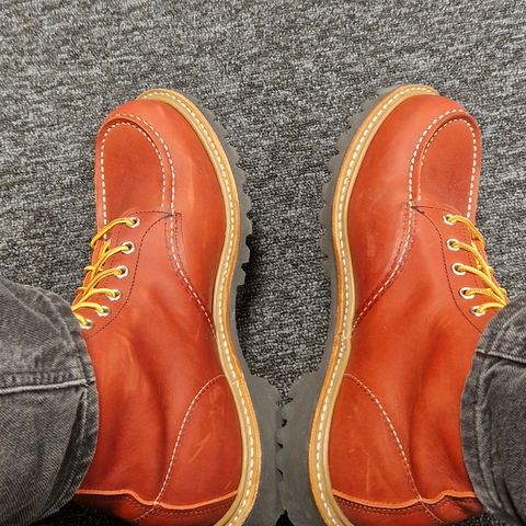 Red Wing 6-Inch Classic Moc in S.B. Foot Oro-Russet Portage