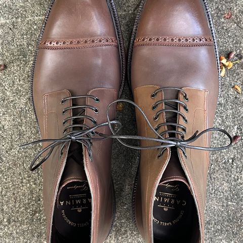 Carmina Work Boots 861 in Unknown Leather
