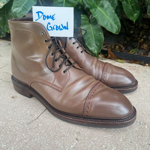 Carmina Work Boots 861 in Unknown Leather