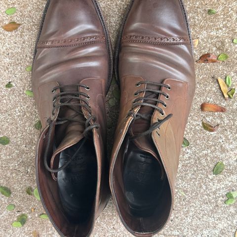 Carmina Work Boots 861 in Unknown Leather