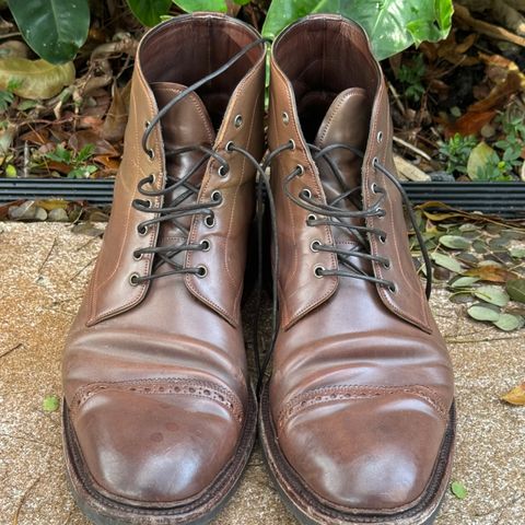 Carmina Work Boots 861 in Unknown Leather