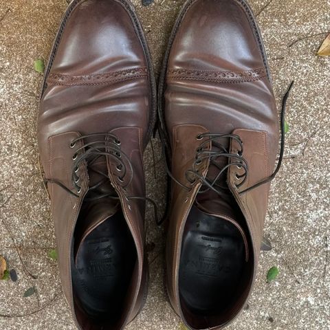 Carmina Work Boots 861 in Unknown Leather