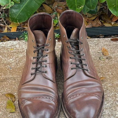 Carmina Work Boots 861 in Unknown Leather