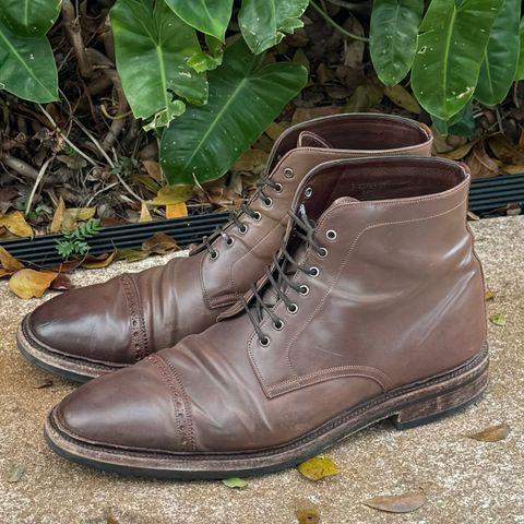 Carmina Work Boots 861 in Unknown Leather