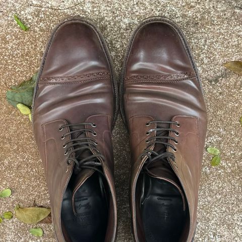 Carmina Work Boots 861 in Unknown Leather