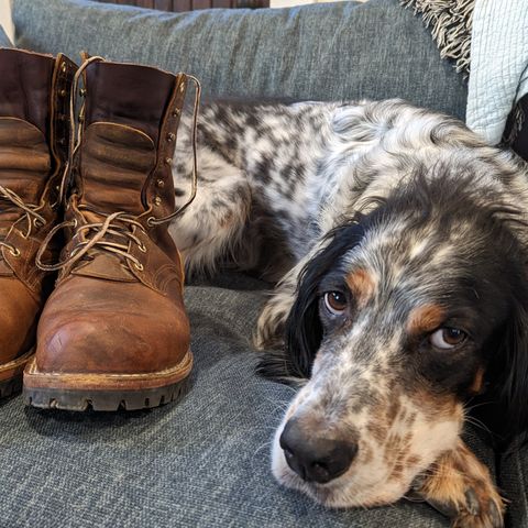 Nicks Overlander in Horween Orange Predator