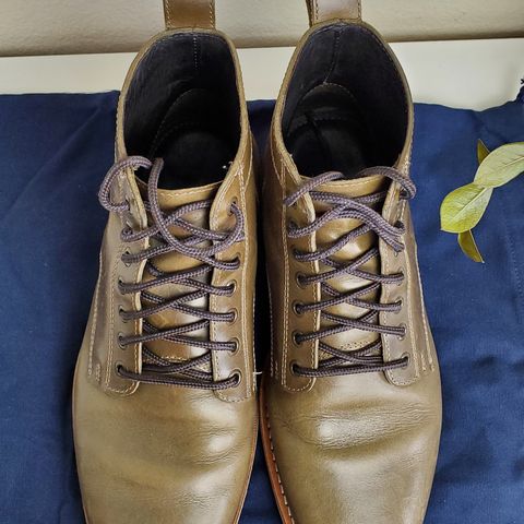 HELM The Zind in Krumenauer Olive