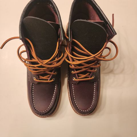 Red Wing 6-Inch Classic Moc in S.B. Foot Black Cherry Excalibur
