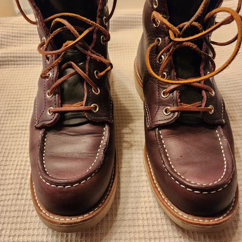 Red Wing 6-Inch Classic Moc in S.B. Foot Black Cherry Excalibur