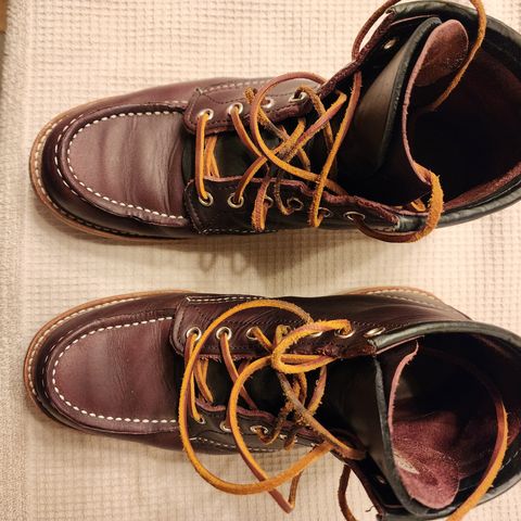 Red Wing 6-Inch Classic Moc in S.B. Foot Black Cherry Excalibur