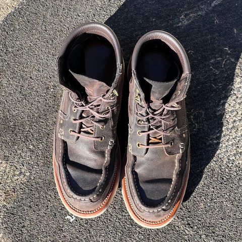 Grant Stone Field Boot in C.F. Stead Earth Waxy Commander Suede