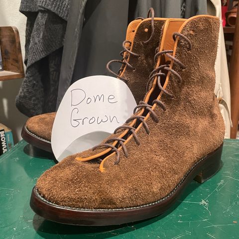 Briselblack The Buck Wholecut Lace to Toe in C.F. Stead Polo Brown Janus Calf Suede