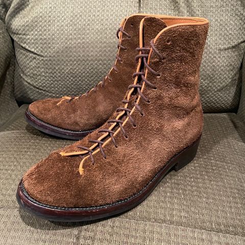 Briselblack The Buck Wholecut Lace to Toe in C.F. Stead Polo Brown Janus Calf Suede