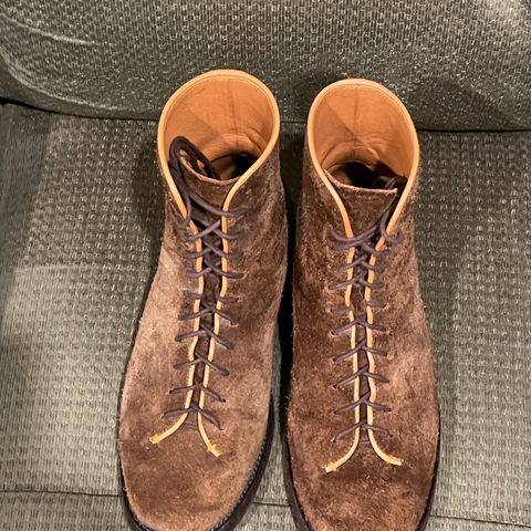Briselblack The Buck Wholecut Lace to Toe in C.F. Stead Polo Brown Janus Calf Suede