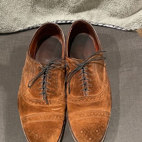 Allen Edmonds Strand in Snuff Brown Suede