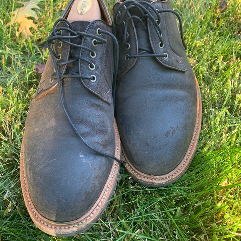 Grant Stone Plain Toe Blucher in C.F. Stead Earth Waxy Commander Suede