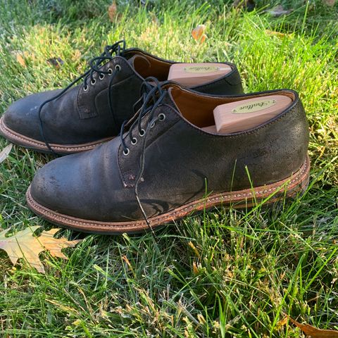 Grant Stone Plain Toe Blucher in C.F. Stead Earth Waxy Commander Suede
