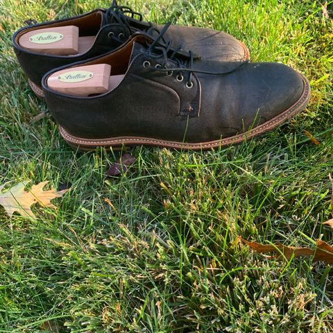 Grant Stone Plain Toe Blucher in C.F. Stead Earth Waxy Commander Suede