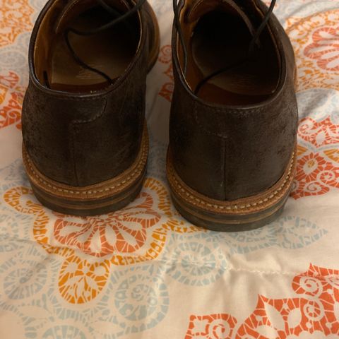 Grant Stone Plain Toe Blucher in C.F. Stead Earth Waxy Commander Suede