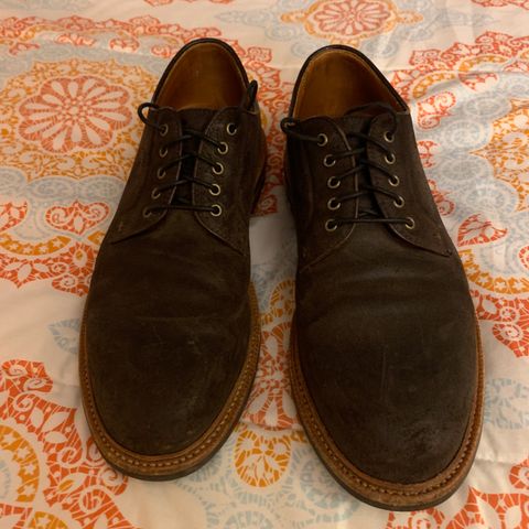 Grant Stone Plain Toe Blucher in C.F. Stead Earth Waxy Commander Suede