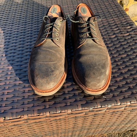 Grant Stone Plain Toe Blucher in C.F. Stead Earth Waxy Commander Suede