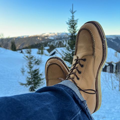 Midas Unlisted Model in Indonesian Natural Veg Tan
