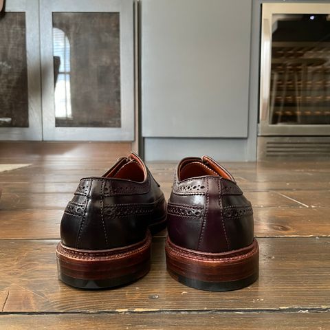 Alden Long Wing Blucher in Horween Color 8 Shell Cordovan