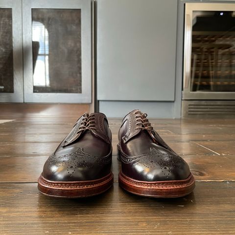 Alden Long Wing Blucher in Horween Color 8 Shell Cordovan