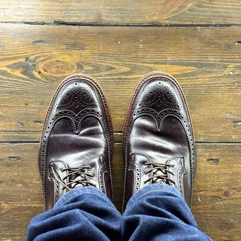 Alden Long Wing Blucher in Horween Color 8 Shell Cordovan