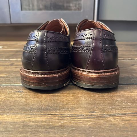 Alden Long Wing Blucher in Horween Color 8 Shell Cordovan