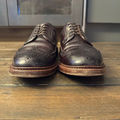 Alden Long Wing Blucher in Horween Color 8 Shell Cordovan