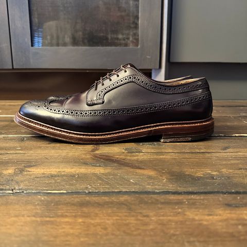 Alden Long Wing Blucher in Horween Color 8 Shell Cordovan