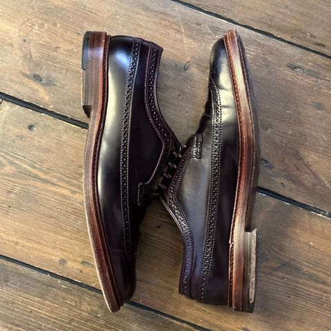 Alden Long Wing Blucher in Horween Color 8 Shell Cordovan
