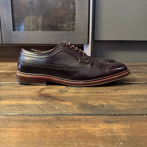 Alden Long Wing Blucher in Horween Color 8 Shell Cordovan