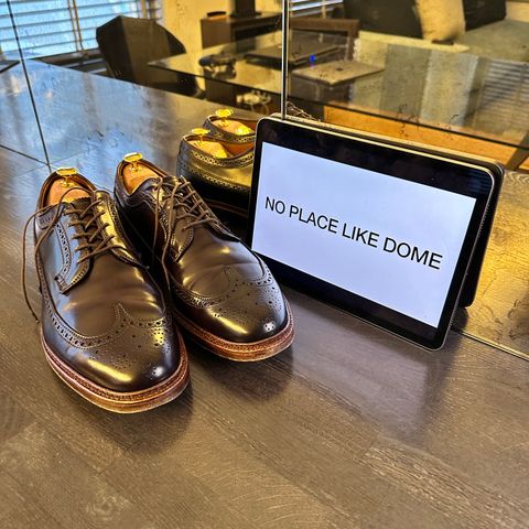 Alden Long Wing Blucher in Horween Color 8 Shell Cordovan