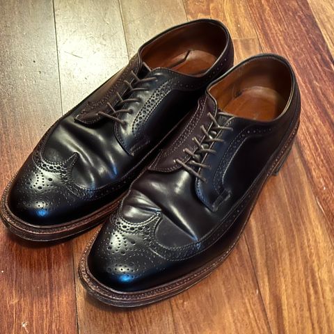 Alden Long Wing Blucher in Horween Color 8 Shell Cordovan