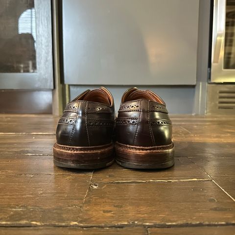 Alden Long Wing Blucher in Horween Color 8 Shell Cordovan