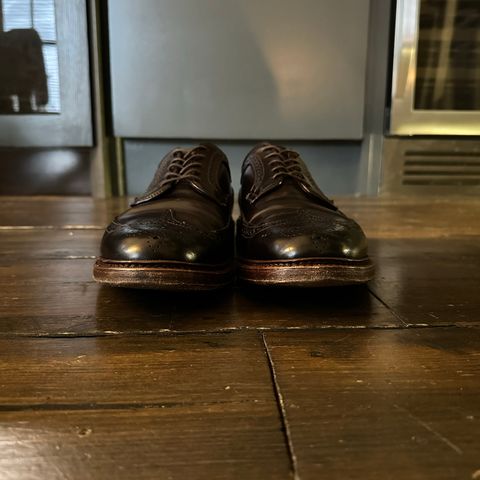 Alden Long Wing Blucher in Horween Color 8 Shell Cordovan